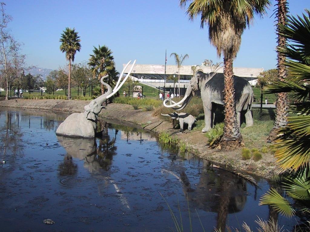 la_brea_tar_pits