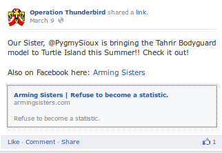 operation-thunderbird-patricia-stein-arming-sisters