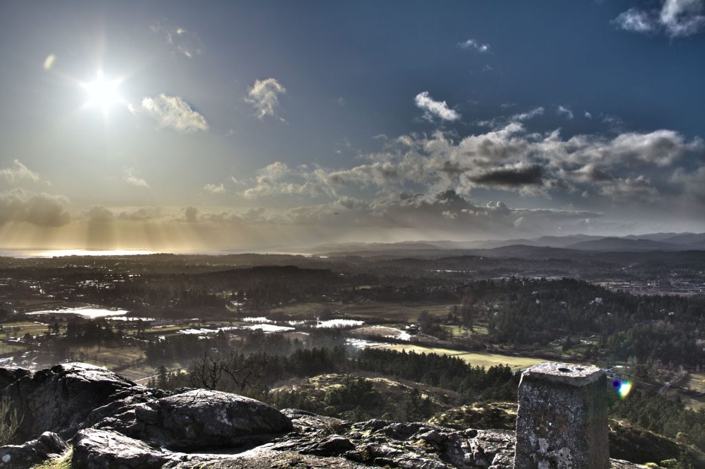 Your humble narrator was very happy that night...