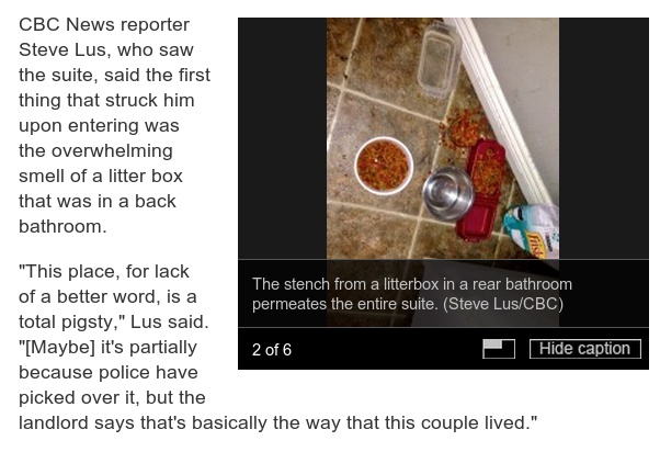 cbc-steve-lus-illegal-entry-apartment-karody-nuttall-legislature-victoria-surrey