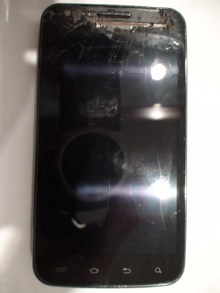 She's treated us all very well...