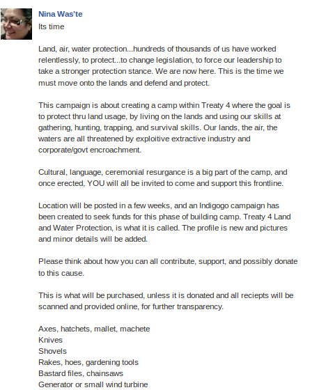 nina-idle-no-more-new-movement