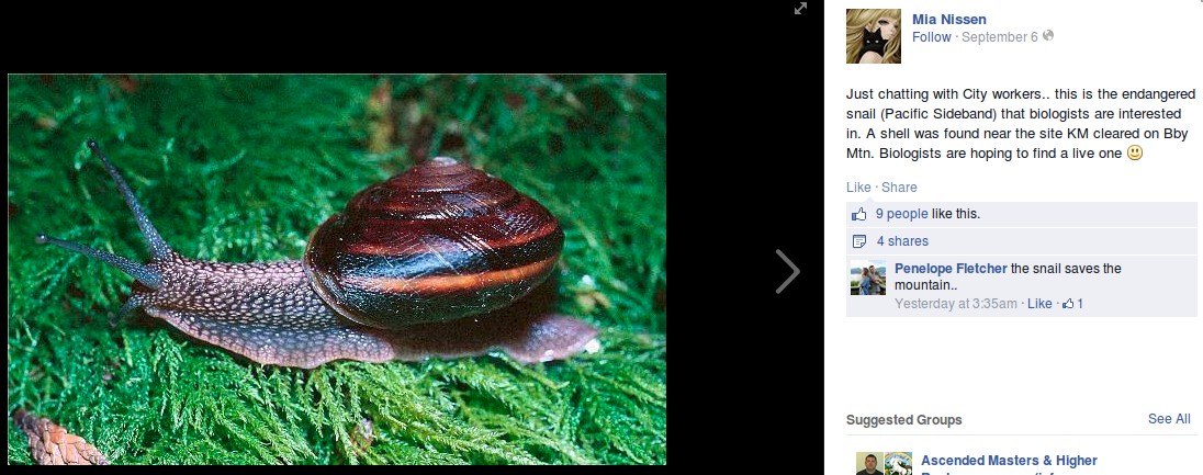 mia-nissen-burnaby-snail