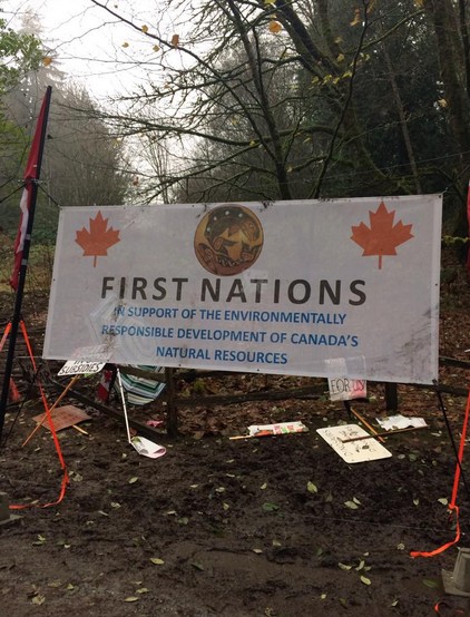 Indigenous communities have a diversity of opinions