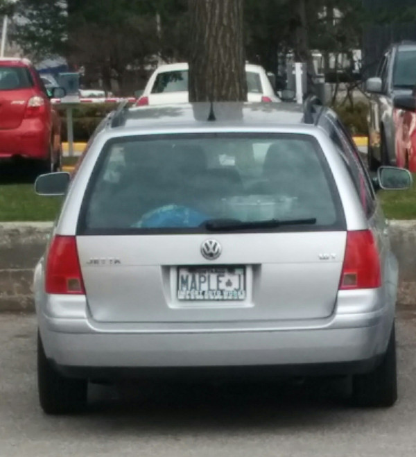 The band's custom license plate...